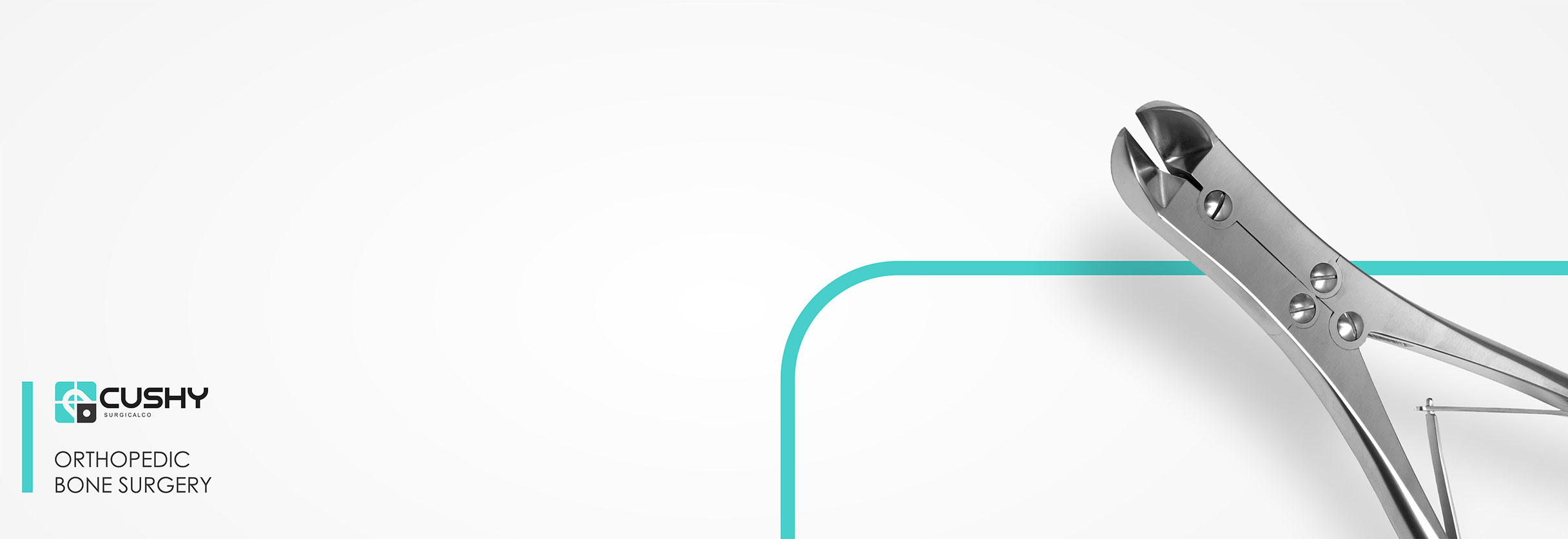 large-banner-2